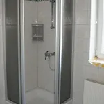Bauer Steyr