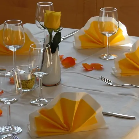 Gæstehus Bauer Steyr