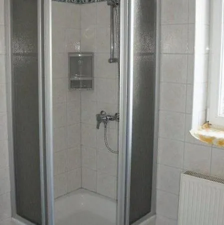 Bauer Steyr